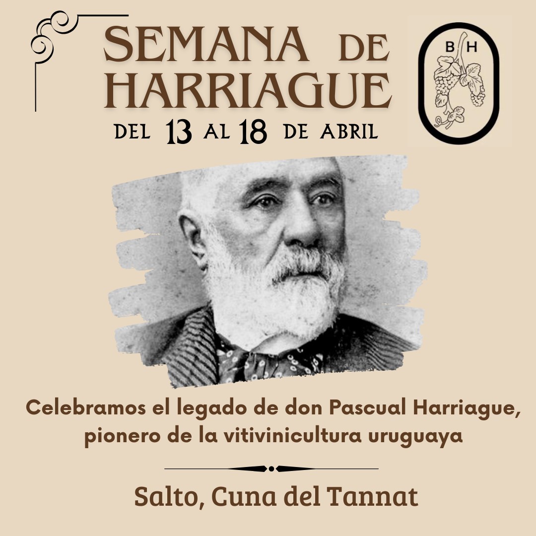 SEMANA DE HARRIAGUE - SALTO