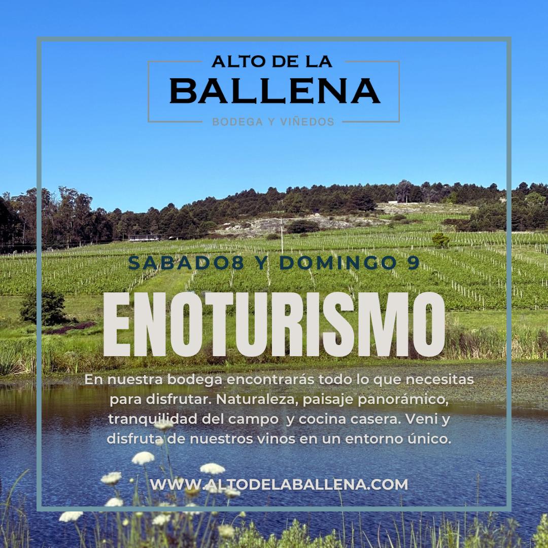 BODEGA ALTO DE LA BALLENA: ENOTURISMO