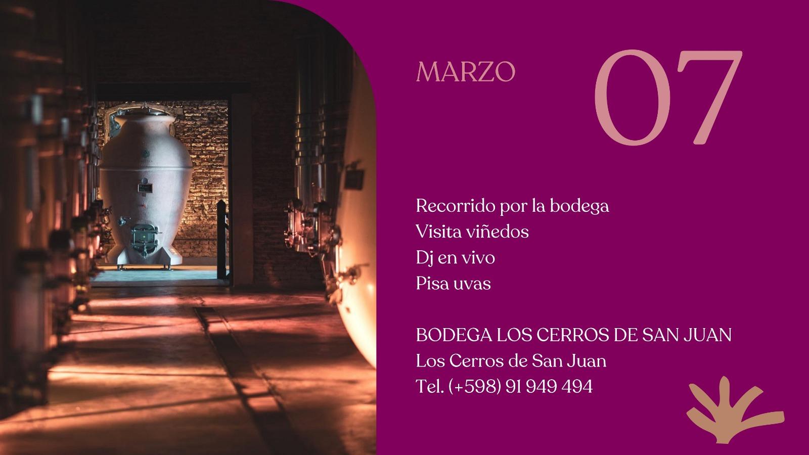 BODEGA LOS CERROS DE SAN JUAN: VENDIMIA 2026