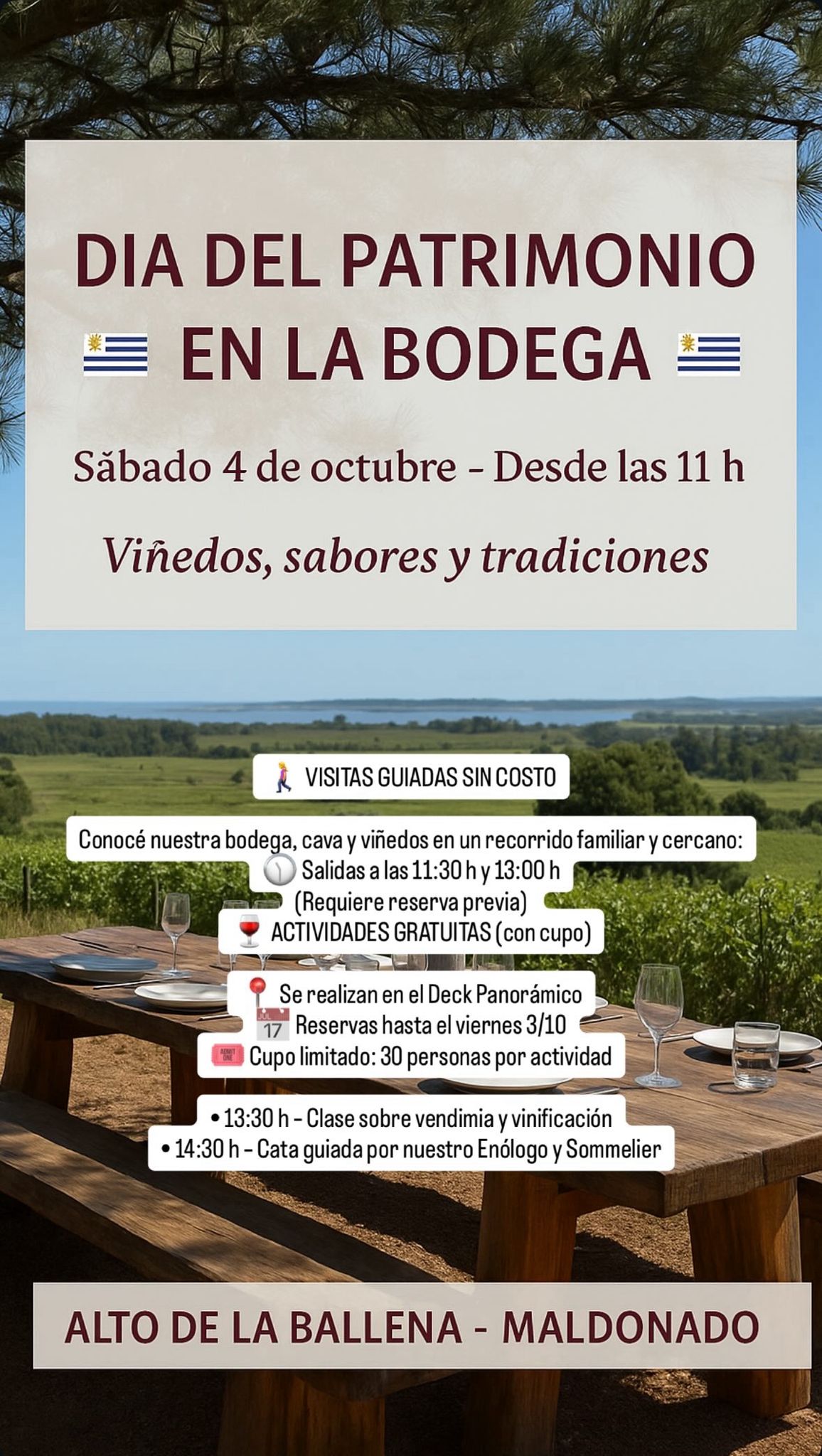 ALTO DE LA BALLENA:  DÍA DEL PATRIMONIO