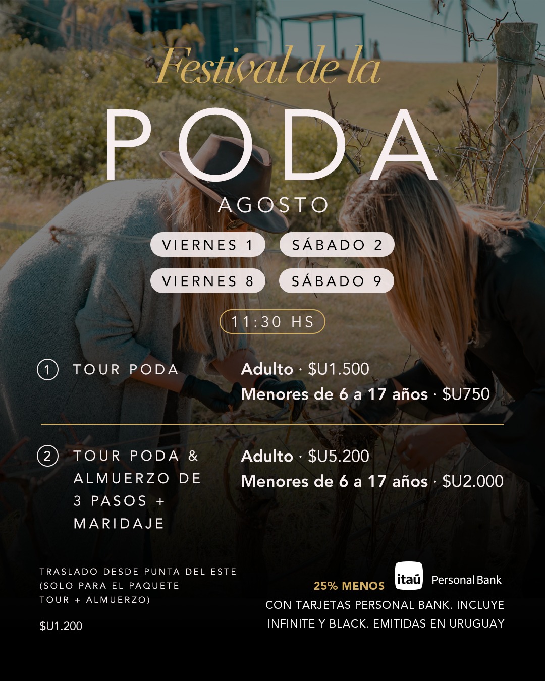 BODEGA GARZÓN: FESTIVAL DE LA PODA