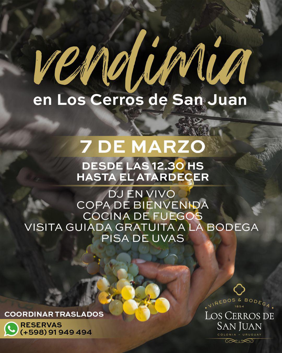 BODEGA LOS CERROS DE SAN JUAN: VENDIMIA 2026
