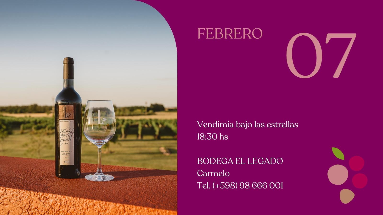 BODEGA EL LEGADO: VENDIMIA BAJO LAS ESTRELLAS