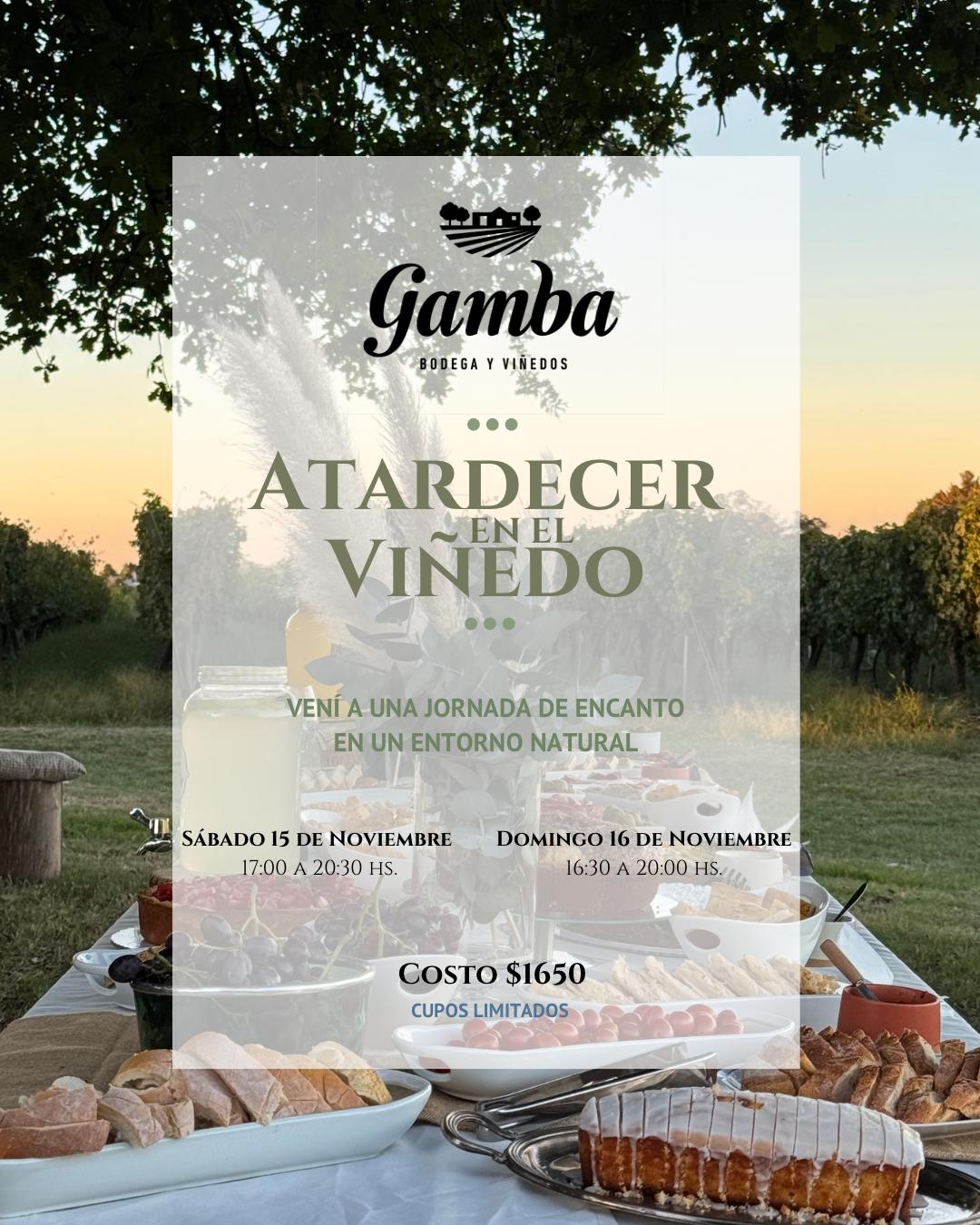 BODEGA GAMBA: ATARDECER EN EL VIÑEDO.
