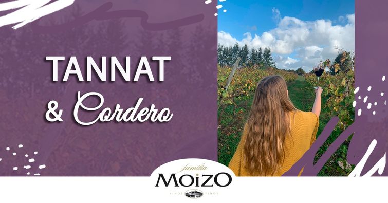 BODEGA FAMILIA MOIZO: ALMUERZO TANNAT & CORDERO