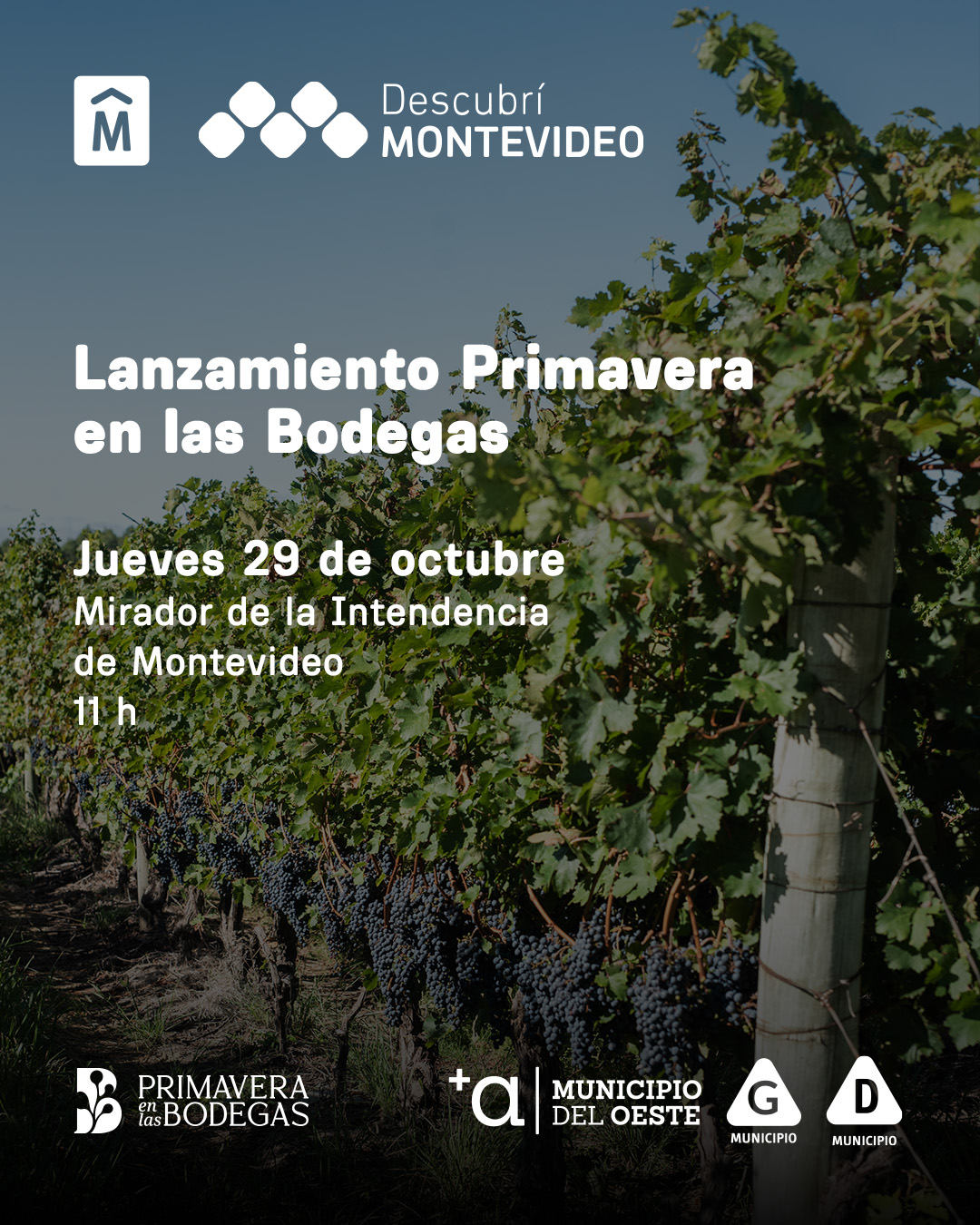 LANZAMIENTO PRIMAVERA EN LAS BODEGAS DE MONTEVIDEO