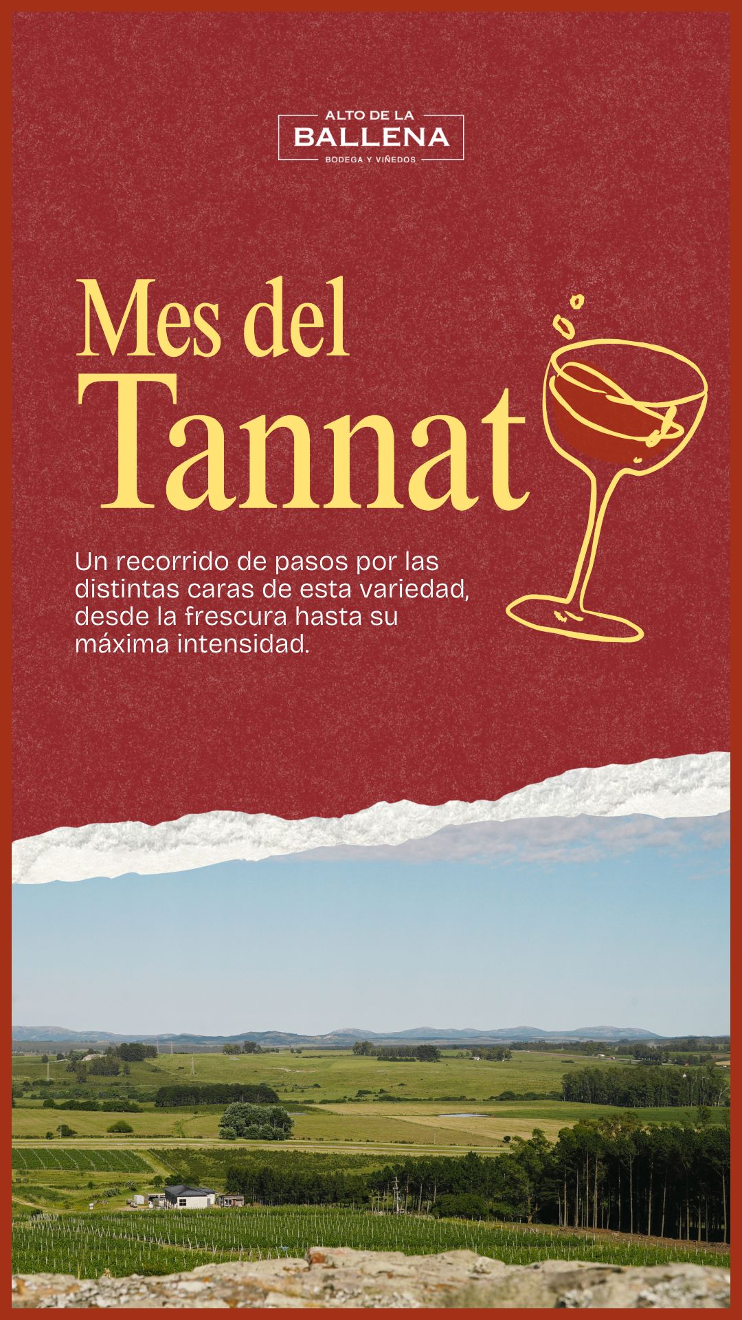 MES DEL TANNAT