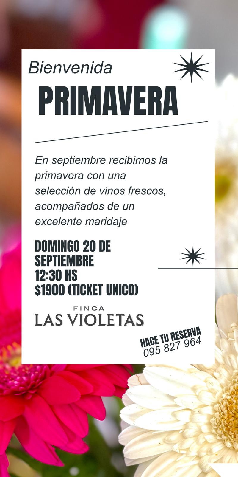 BODEGA FINCA LAS VIOLETAS - BIENVENIDA PRIMAVERA