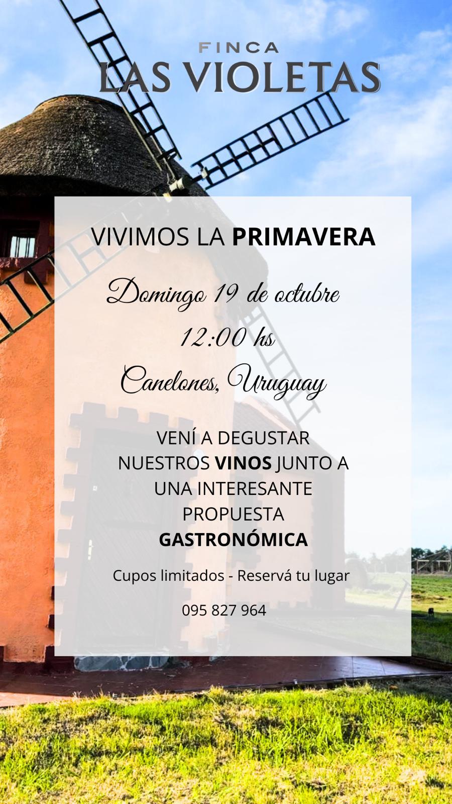 FINCA LAS VIOLETAS: VIVIMOS LA PRIMAVERA