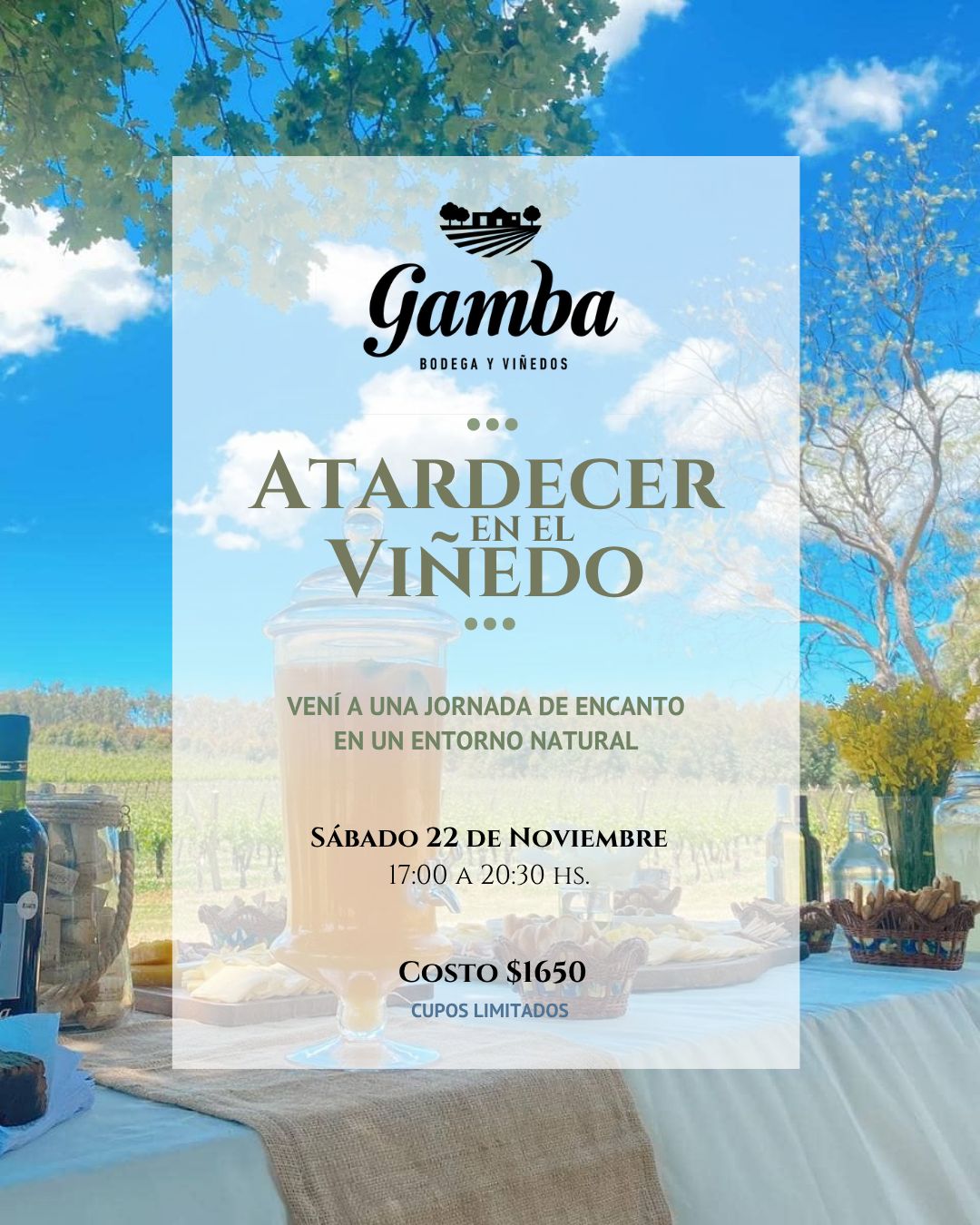 BODEGA GAMBA: ATARDECER EN EL VIÑEDO.