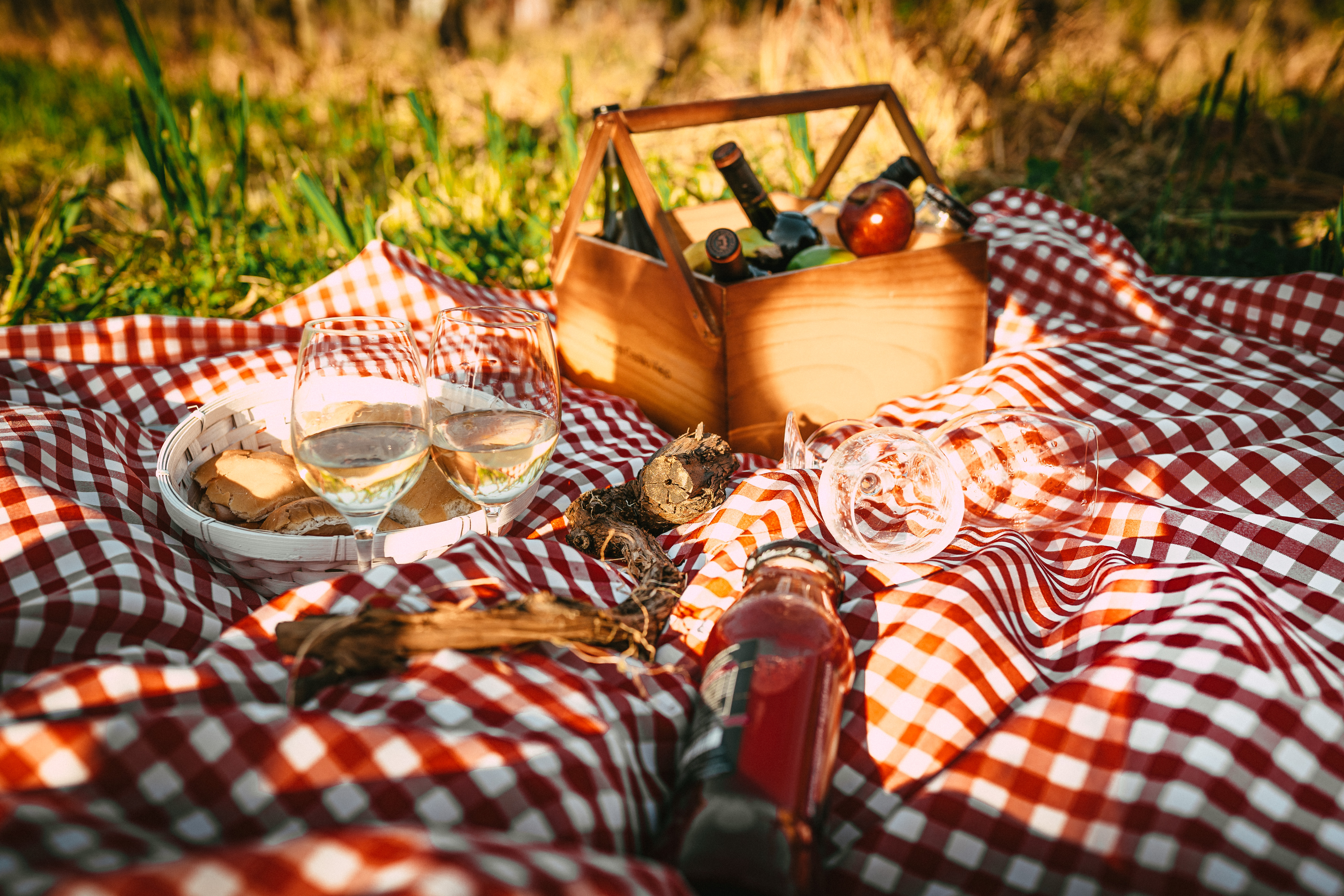 A puro picnic